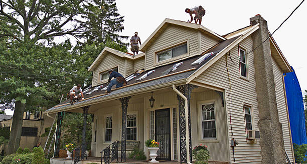 Best Roofing Contractor Near Me  in James Island, SC